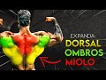 EXPANDA Suas Dorsais Com ESSE TREINO!