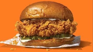 Popeyes Chicken Sandwich MADNESS