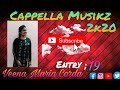 Veena maria corda  entry 19 cappella musikz 2k20