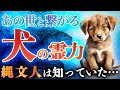 【呪術的慣習】人類を守ってきた犬の恐るべき霊力とは！？