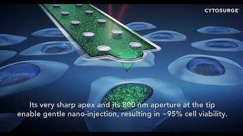 AFM application - nano-injection into adherent cells with FluidFM ADD-ON