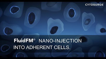 AFM application - nano-injection into adherent cells with FluidFM ADD-ON