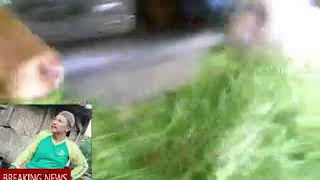 Kunyah - Kunyah - Kunyah