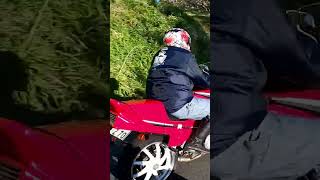 Cbr400F Revサウンド