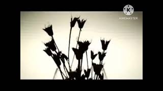 Timbaland - Apologize ft. One Republic