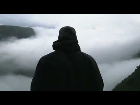 سورة لقمان بتعلمك اوعى تذل نفسك لمخلوق د حازم شومان