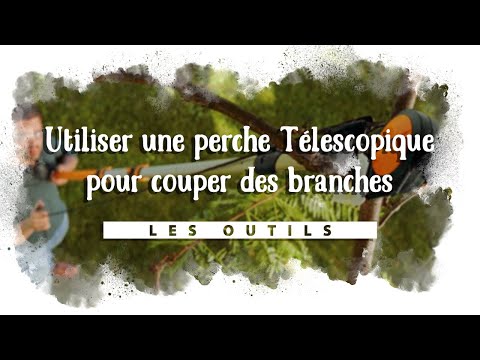 Vidéo: Types de coupe-branches de jardin - Apprenez à utiliser les coupe-branches dans le jardin