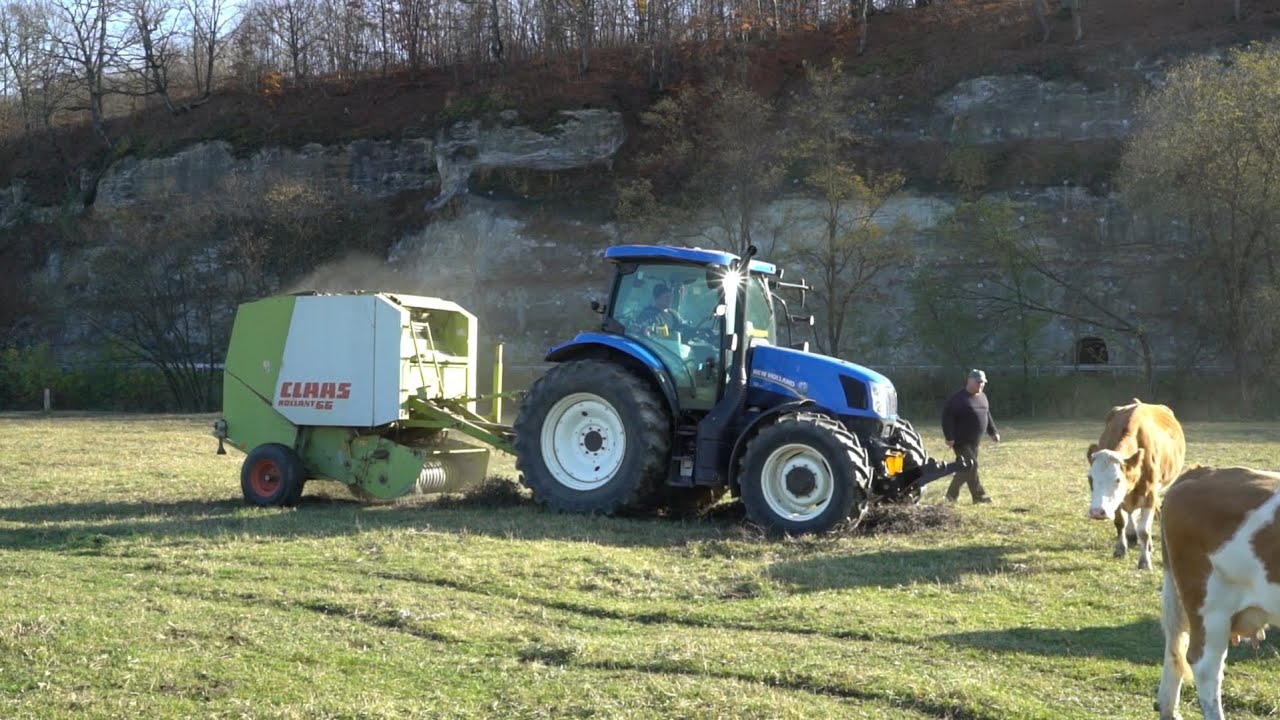 Viata la Ferma - Farm Life