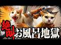 感動？のお風呂動画を１本にまとめてみたら面白すぎた件