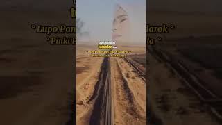 Download Lagu Lupo Paneh Dek Hujan Sadarok #liriklagu #laguviral #minang #minangviral #minangkabau #rayola MP3