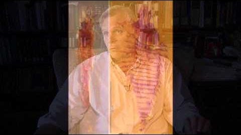 Prehistoric Tiny Bugs Found Trapped in Amber