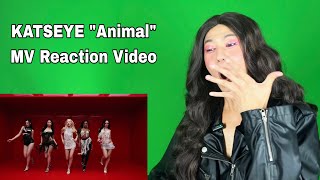 KATSEYE “Animal” MV REACTION VIDEO by MEGALODON