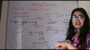Csir Net Life Science Lectures Module Wise Chapter Three Part Seven |Clotting Mechanism part 2 |