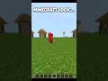 Minecraft Logic 🤔 #minecraft #shorts #shortsfeed