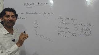 KINGDOM MONERA Lecture 02 Topic  Types and General Characters of Monera Class 11th 