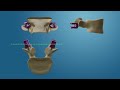 5. Screw Placement Tips - TOPS Surgical Technique
