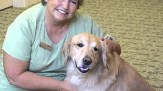 The Kenwood By Senior Star- Memory Care Tour