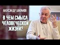 В чем смысл человеческой жизни? Веды о смысле жизни. Александр Хакимов