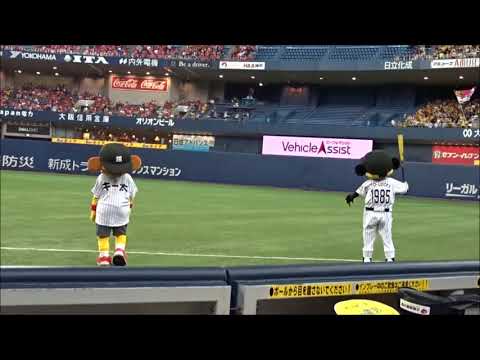 20160816阪神対広島：トラッキー＆キー太のスタメン発表ものまね