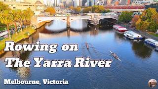 Rowing on the Yarra River from the air, Melbourne, Victoria, Australia