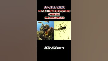 PT 11: 3-D Questions from STEAMspirations: How Ecosystems Compete for Resources 🌳🦁