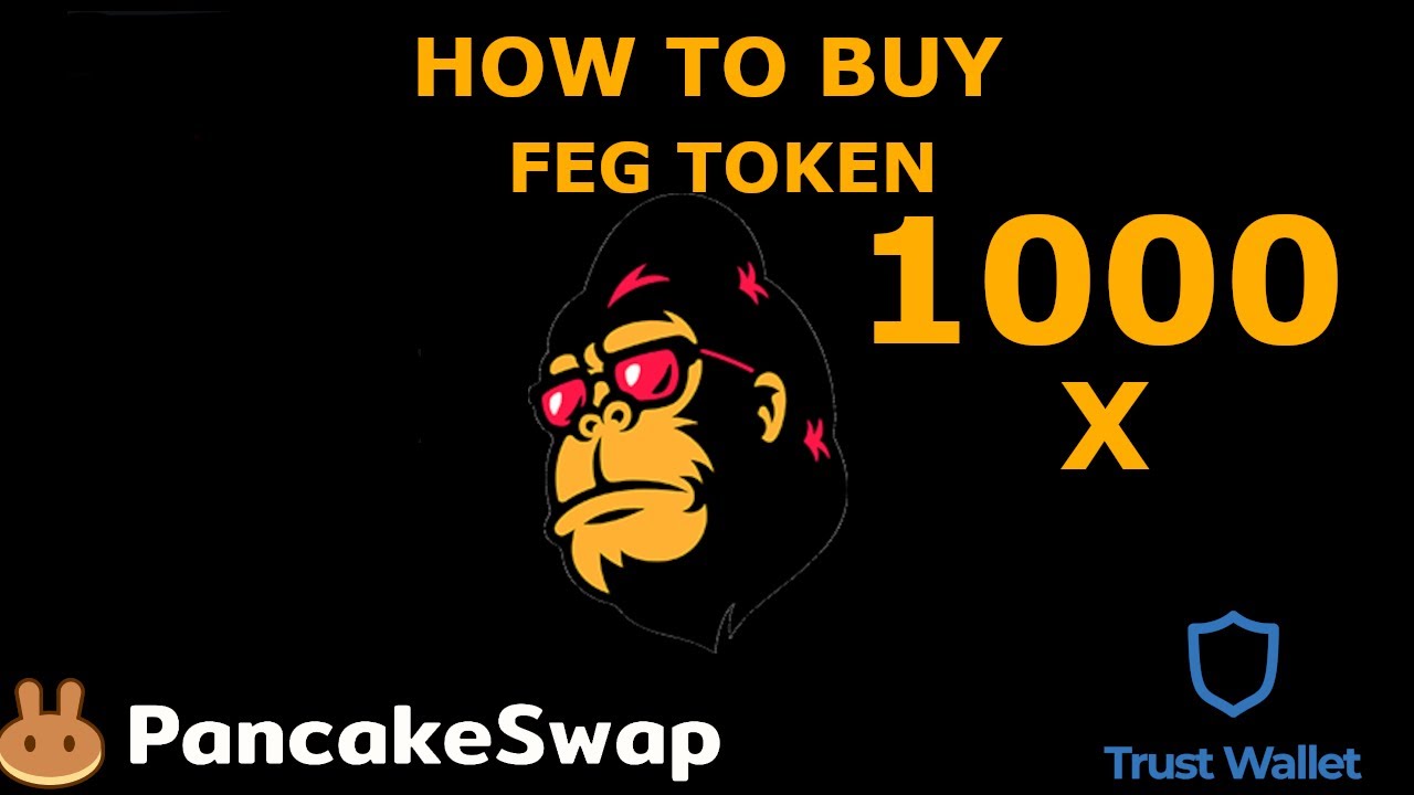 How to Buy FEG Token | Best time to BUY 1000 X token | BSC | Buy on DIPS