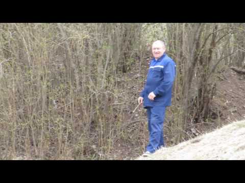 Порхов. Древнее городище. Древняя крепость на реке Шелонь.