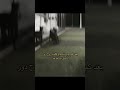 دور اسمك بيا قاعة اشتراك ترند رياكشنات تيك توك سادسيون  ستوريات  جيش الاسااااطير