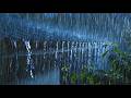 Deep Sleep Rain | Tropical Rain & Heavy Thunderstorm for Anxiety and Stress Relief