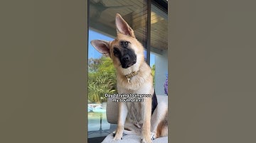 Day 1 of soft-launching my soulmate 😌 #alebarnechea #soulmate #viral #lovetok #romanticstatus