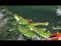 《地理中国》 仙湖奇岛：仙女湖蛇岛探秘 20181216 | CCTV科教