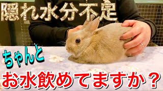 【おすすめドリンクホルダー】そのドリンクホルダーでちゃんと飲めてる？隠れ水分不足を解消しよう。