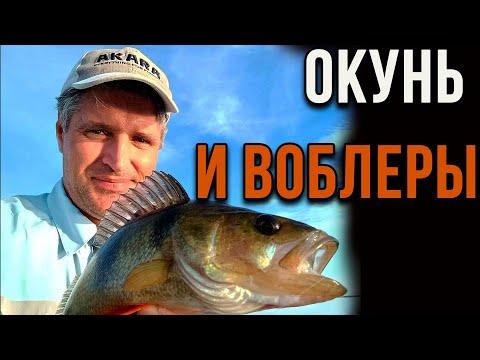 Окунь и воблеры,