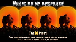 Nimic Nu Ne Desparte  Oficial   Best Hit 2025  Thepisoy 
