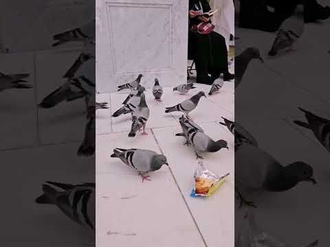 Kaaba Al Haram Mosgue Mecca