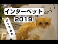 インターペット 2019に行ってみた