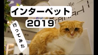 インターペット 2019に行ってみた