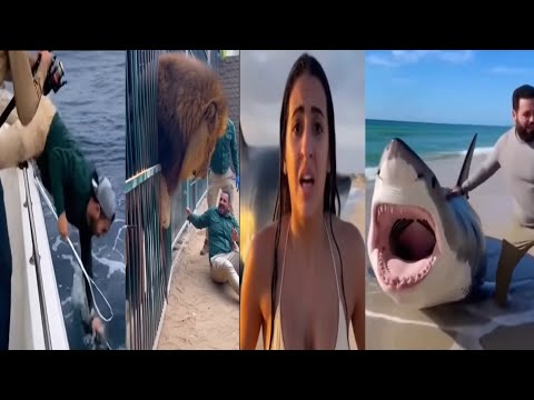 مجموعة من الفيديوهات التقطتها كاميرات المراقبة فديوهات نادرة الاكثر آثاره مواقف مختلفة ومتنوعة