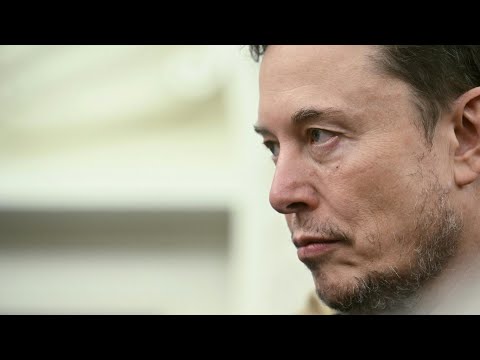 'Widerlich': Elon Musk