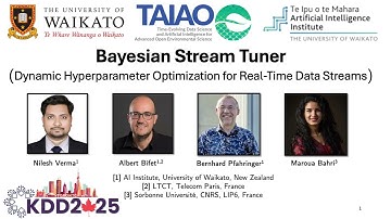 KDD 2025 - Bayesian Stream Tuner: Dynamic Hyperparameter Optimization for Real-Time Data Streams