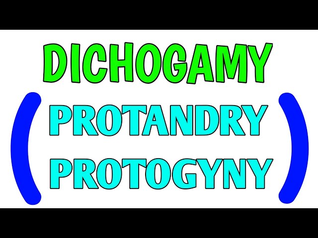 Dichogamy, Protandry, Protogyny