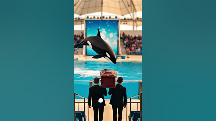 Sad News Jessica and dolphin. Jessica is no more #Jessica #orca #attack #JessicaRadcliffeOrca