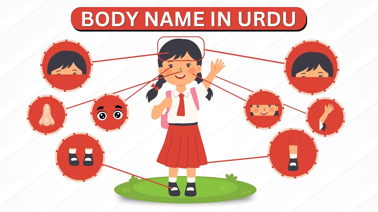 Parts Of Body Names - video by Farhan Ali, reels and video editor