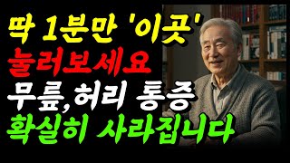 허리·무릎 통증, 발바닥 마사지로 싹! 줄어듭니다 | 노년건강 | 허리통증