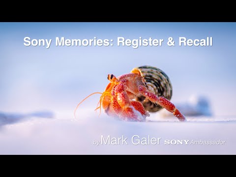 Memory : Register