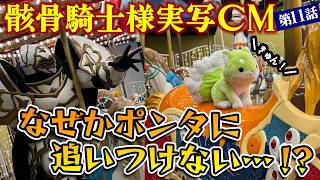 【実写CM第11話】なぜかポンタに追いつけない…！？＜ポンタのお出掛け＞｜『骸骨騎士様、只今異世界へお出掛け中』関連書籍シリーズ好評発売中！