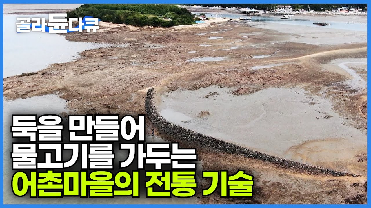 둑에 물고기를 가두어 잡는 전통 어업 방식, 독살|태안 어촌마을의 물고기 잡는 방법|한국기행|#골라듄다큐 - YouTube