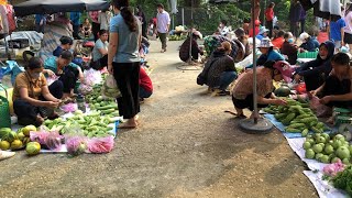 Harvesting chickens, ducks and puppies Going to the market to sell - Vietnam Village - Bushcraft