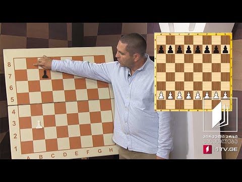 #ჭადრაკი მეექვსე გაკვეთილი, პაიკი - 11 აპრილი, 2020 #ტელესკოლა