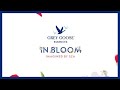 GREY GOOSE® Essences In Bloom | Imagined by SZA